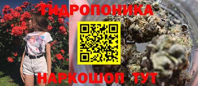 альфа пвп Тара