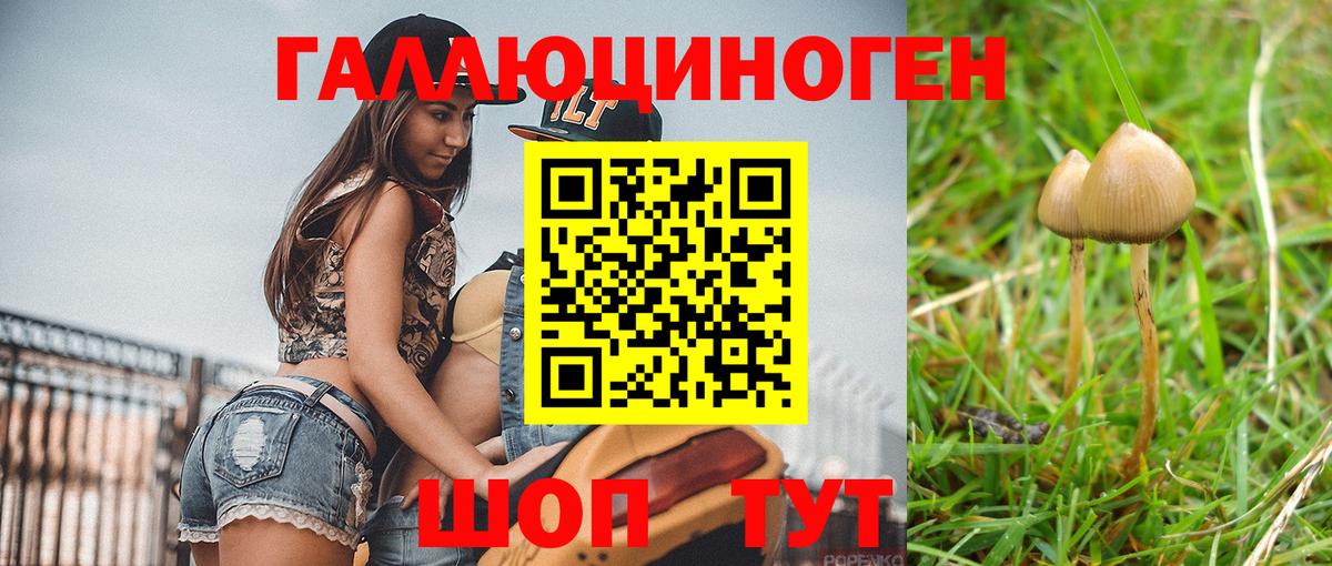 Галлюциногенные грибы Psilocybine cubensis  Вход с VPN  купить наркоту  Петрозаводск 