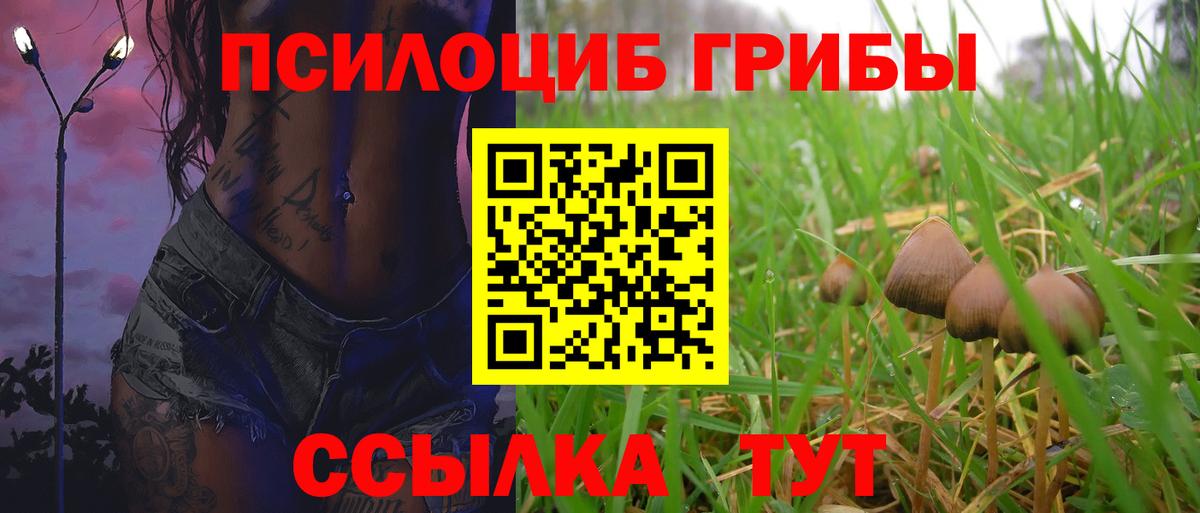 Петрозаводск  Канабис  ГАШИШ  Вход с VPN  КОКАИН  ГАШ  МЕФ  